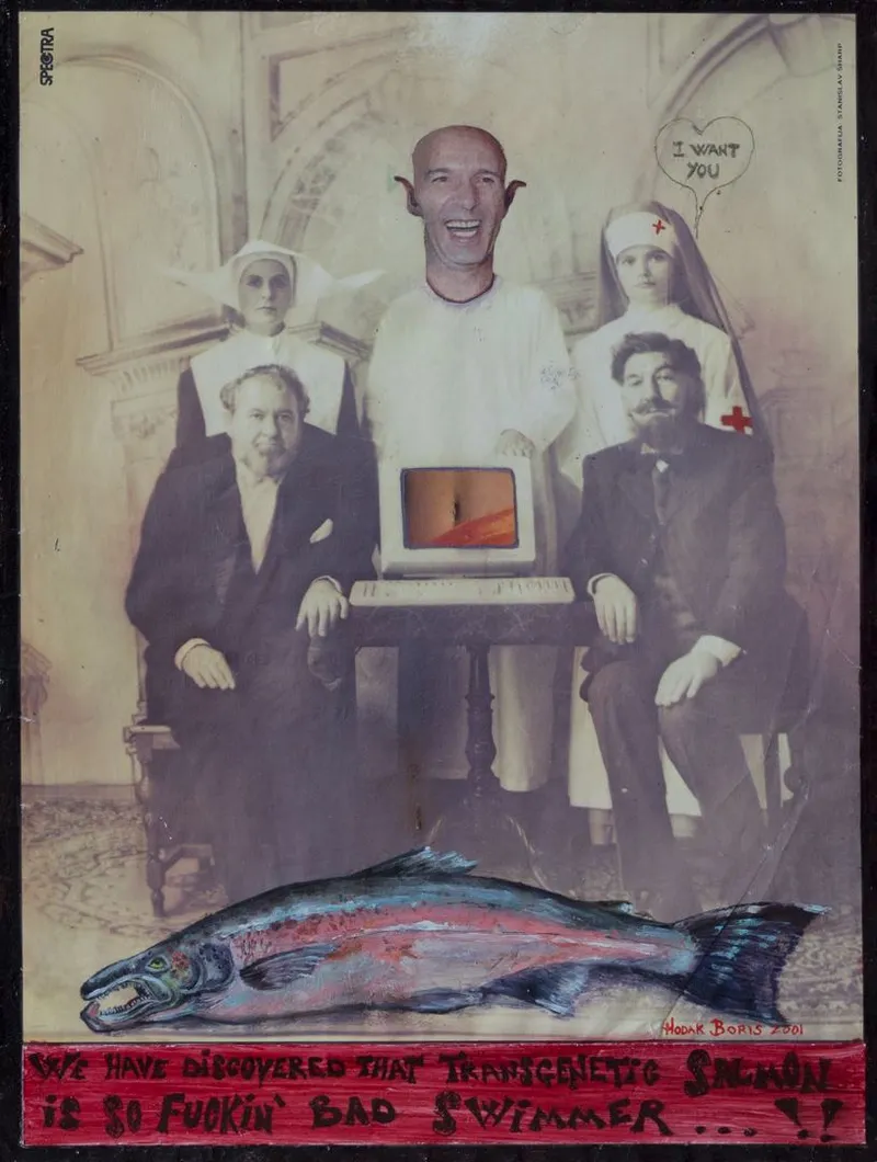 We’ve Discovered That Transgenetic Salmon Is Bad Swimmer